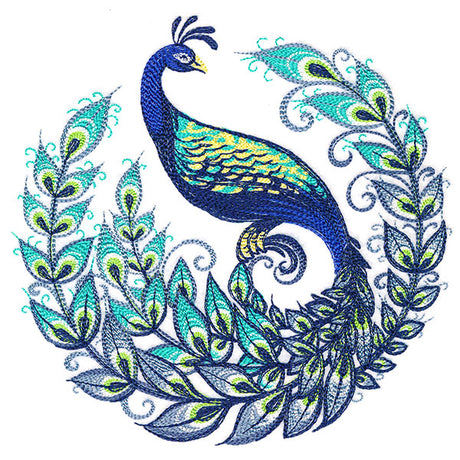 Calligraphic Peacock