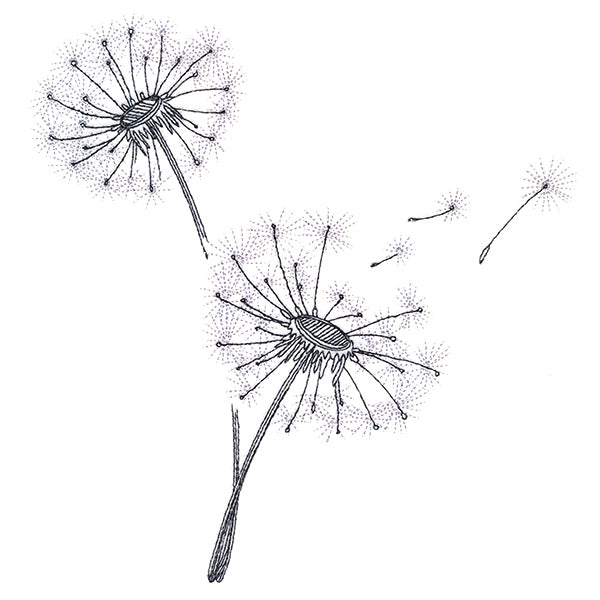 Never Stop Wishing Bouquet