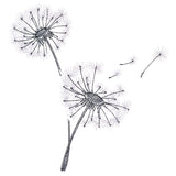 Never Stop Wishing Bouquet