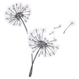 Never Stop Wishing Bouquet