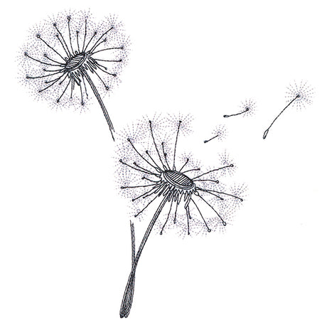 Never Stop Wishing Bouquet