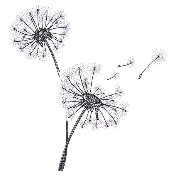 Never Stop Wishing Bouquet