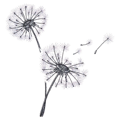 Never Stop Wishing Bouquet