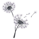 Never Stop Wishing Bouquet