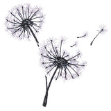 Never Stop Wishing Bouquet