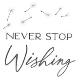 Never Stop Wishing