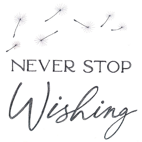 Never Stop Wishing