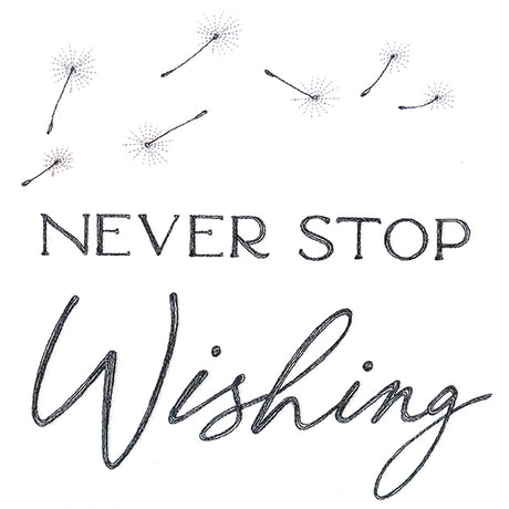 Never Stop Wishing