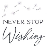 Never Stop Wishing