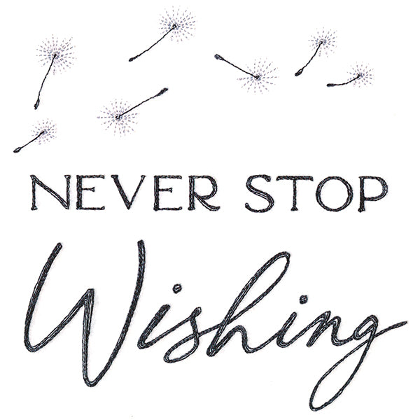 Never Stop Wishing