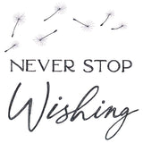 Never Stop Wishing