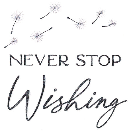 Never Stop Wishing