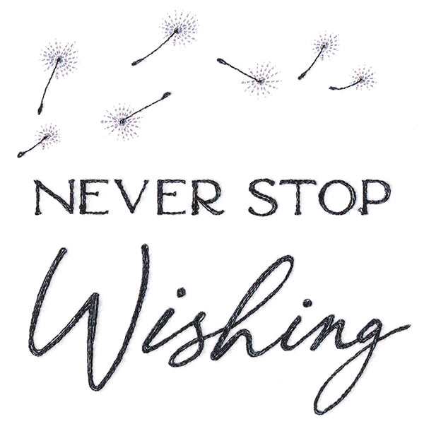 Never Stop Wishing