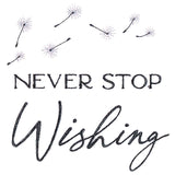 Never Stop Wishing