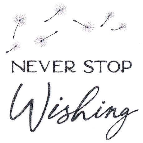 Never Stop Wishing