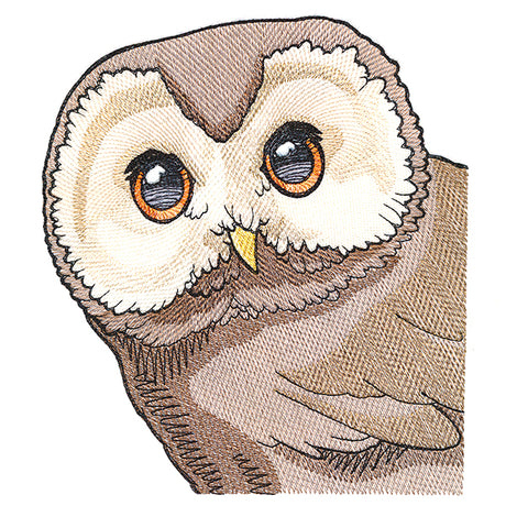 Wise Peeking Owl