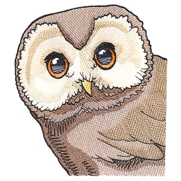 Wise Peeking Owl
