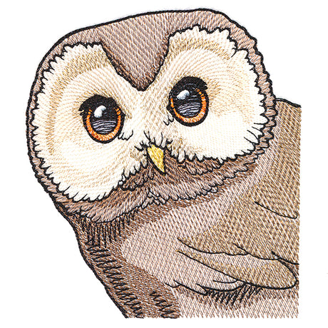 Wise Peeking Owl