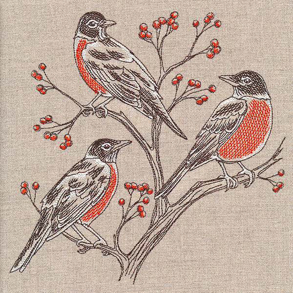 Resting Robins Trio
