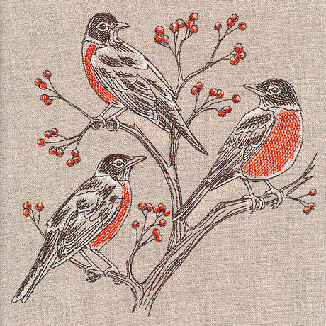 Resting Robins Trio