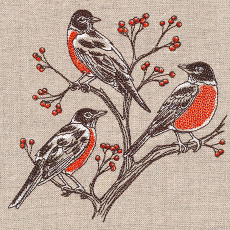 Resting Robins Trio