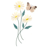 Lovely Cabbage White Butterfly in Daisies
