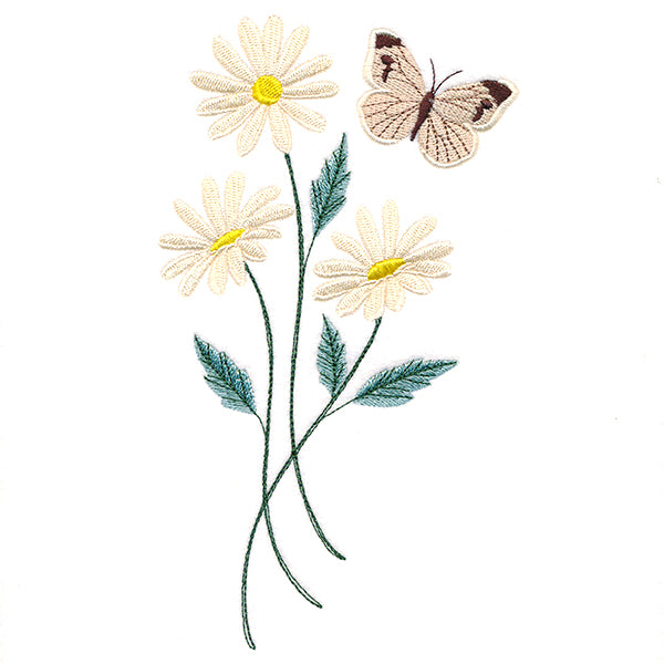 Lovely Cabbage White Butterfly in Daisies