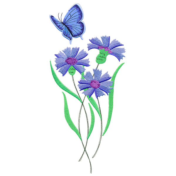 Delicate Eastern Tailed Blue Butterfly in Coneflowers