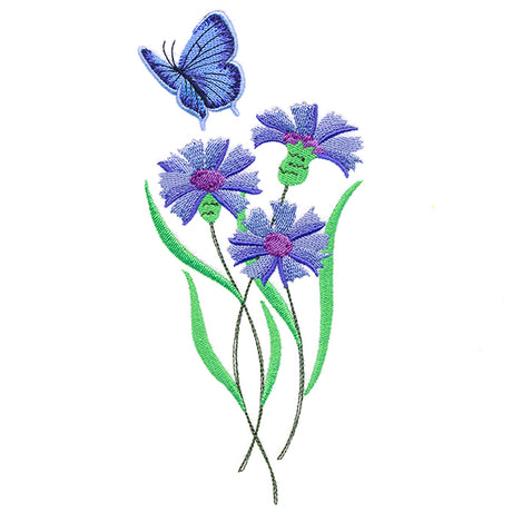 Delicate Eastern Tailed Blue Butterfly in Coneflowers