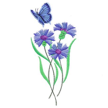 Delicate Eastern Tailed Blue Butterfly in Coneflowers