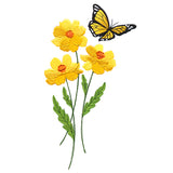 Sweet Monarch Butterfly in Cosmos