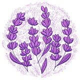Lovely Lavender Circle