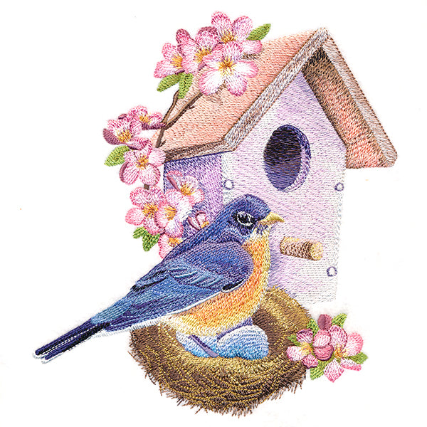 Nesting Bluebird in Spring