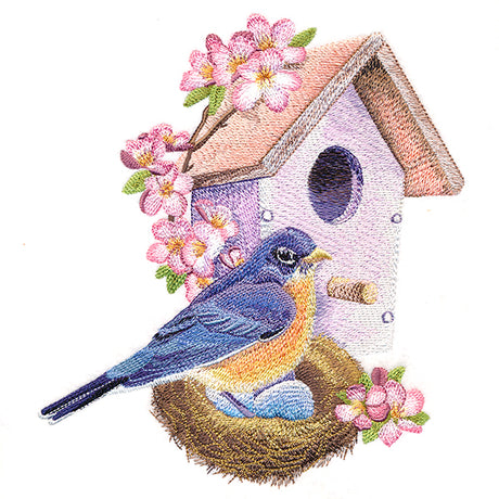 Nesting Bluebird in Spring