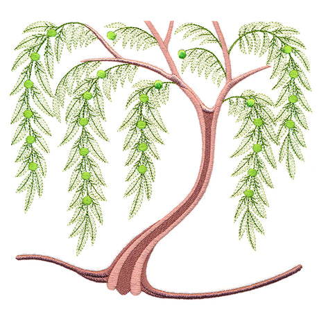 Wondrous Willow Tree