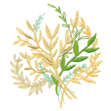 Textured Botanicals Feature