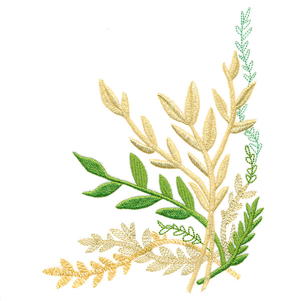 Textured Botanicals Corner