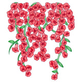 Trumpet Vine Flowers Feature