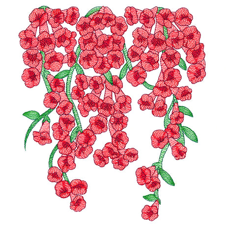 Trumpet Vine Flowers Feature