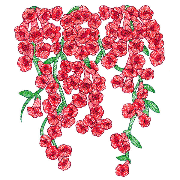 Trumpet Vine Flowers Feature