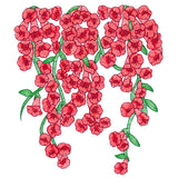 Trumpet Vine Flowers Feature