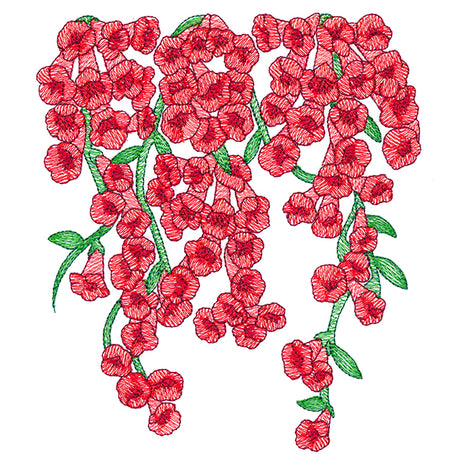 Trumpet Vine Flowers Feature