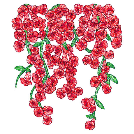 Trumpet Vine Flowers Feature