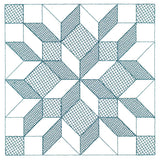 Fun on the Farm Quilting - Carpenter Star Square (Trapunto)