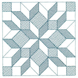 Fun on the Farm Quilting - Carpenter Star Square (Trapunto)