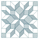 Fun on the Farm Quilting - Carpenter Star Square (Trapunto)