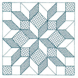 Fun on the Farm Quilting - Carpenter Star Square (Trapunto)