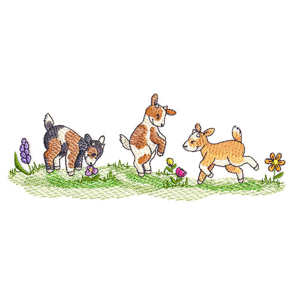Frolicking Baby Goats