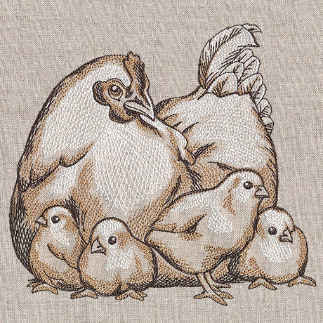 Mother Hen and Chicks Etching