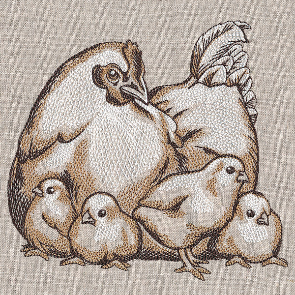 Mother Hen and Chicks Etching